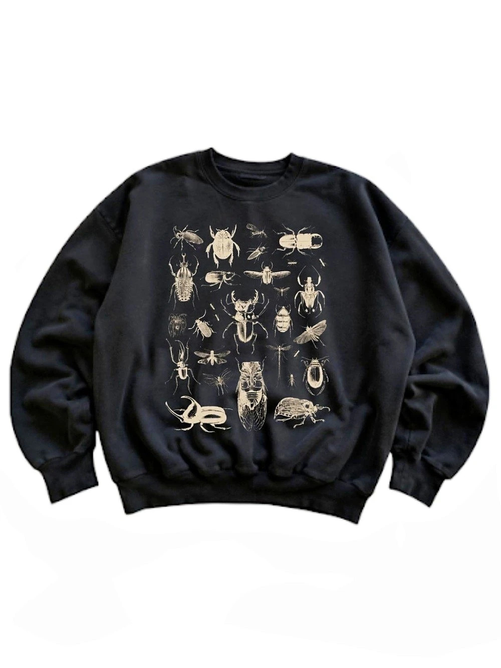 Gildan Black Beetle Graphic Sweatshirt